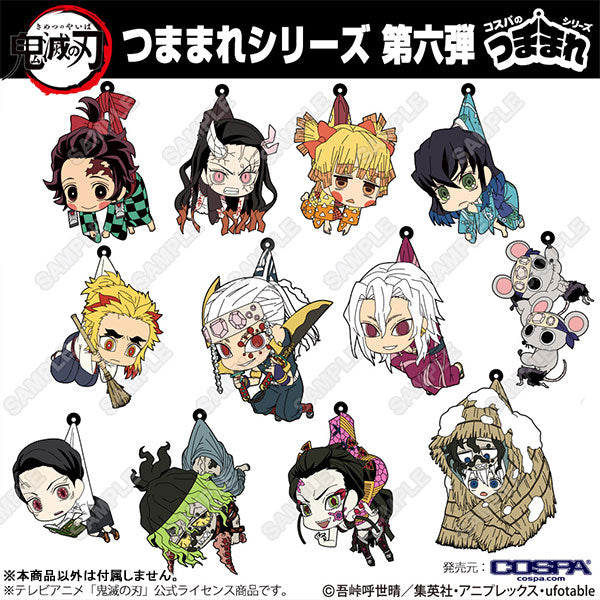 6-Variety Set Demon Slayer: Kimetsu no Yaiba Oni 滅祭 ~ Anime