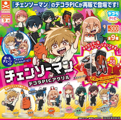 Chainsaw Man - DECORA PIC Acrylic