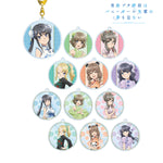 Rascal Does Not Dream of Bunny Girl Senpai - Chinese Dress Ver. Trading Acrylic Keychain Blind Box